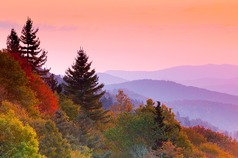 When is the Best Time to See Smoky Mountain Fall Colors The All