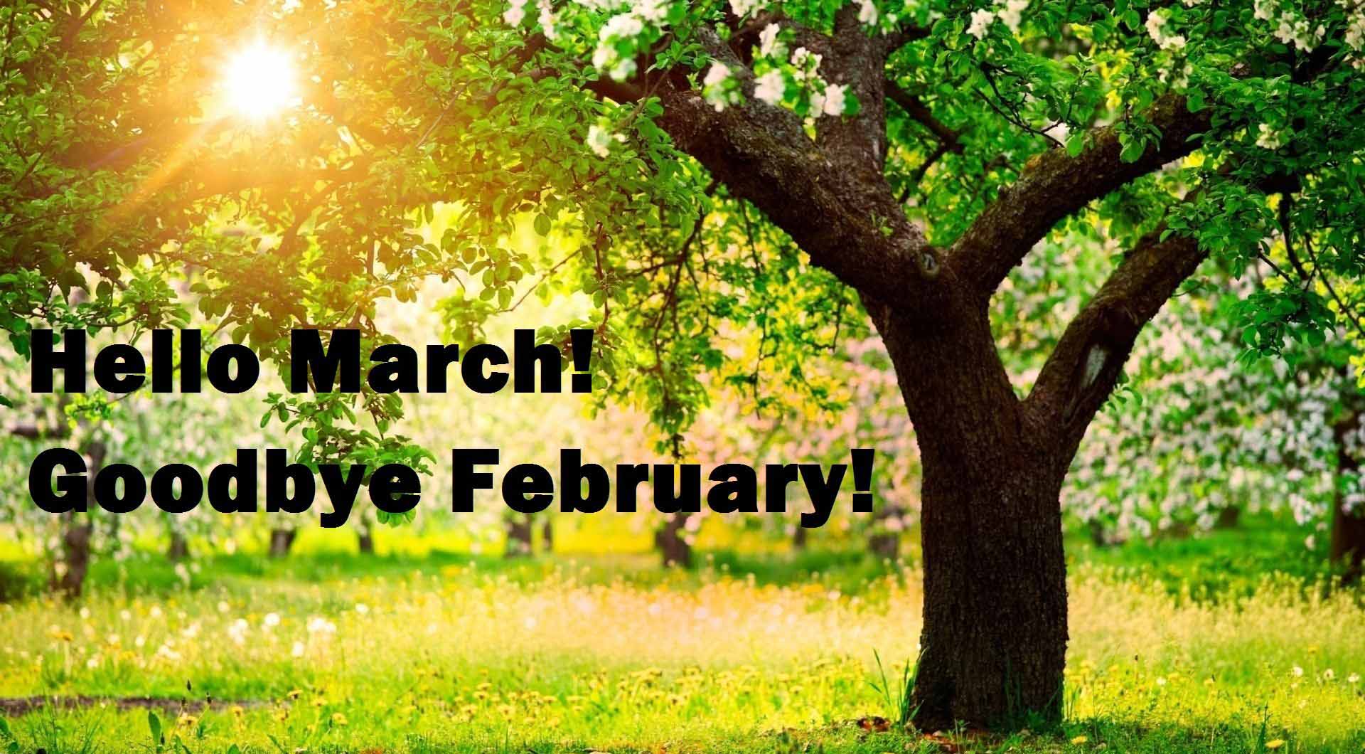 Hello-March-Goodbye-february copy.
