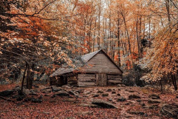 Cades Cove Hours | Everything You Need To Know About Cades Cove – The ...