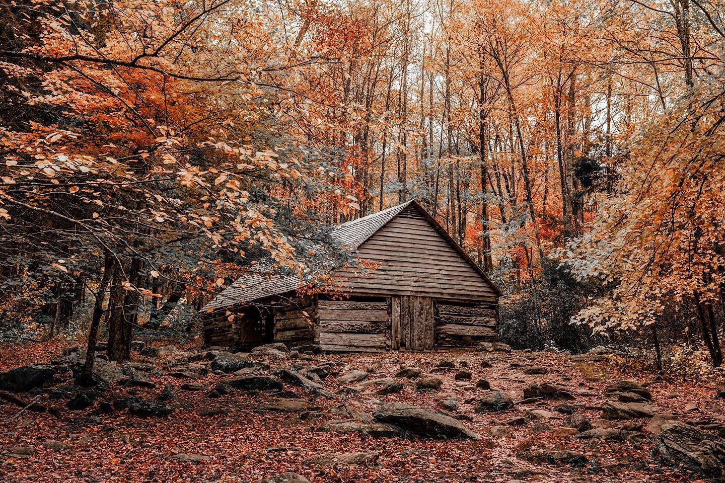 Cades Cove Hours Everything You Need To Know About Cades Cove The