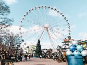 The Island Ferris Wheel