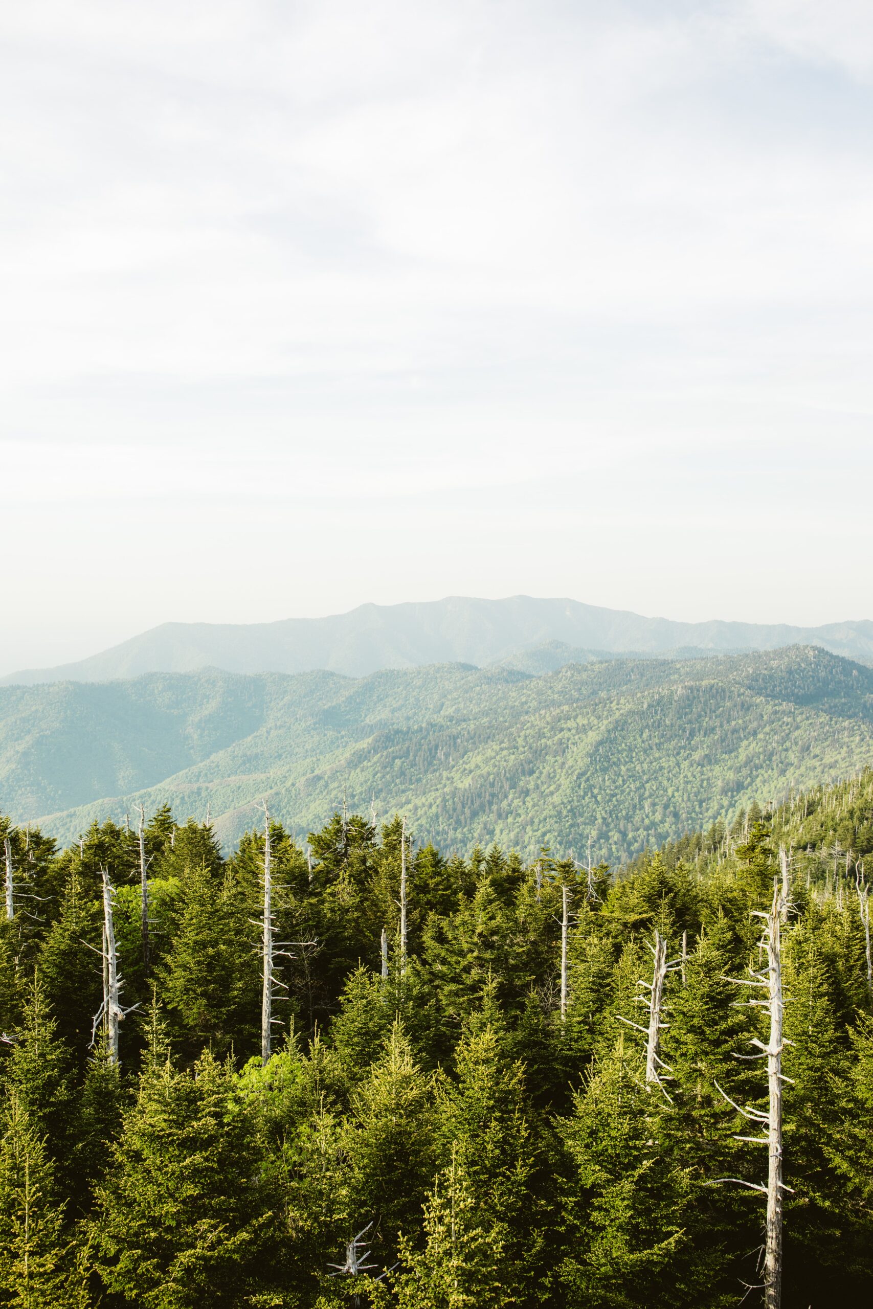 directions to clingmans dome from my location        
        <figure class=