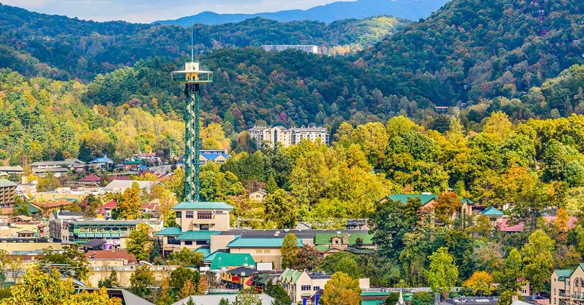 Stop Telling Me The Mountains Are Calling - I'm Not Ready To Go!