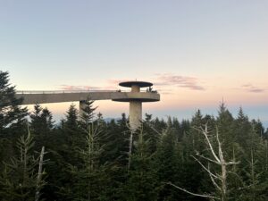 5 Things I Never Knew Existed At Clingmans Dome